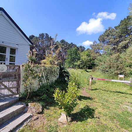 Chalet Cosy, Plages A Pieds. Morbihan. Plouhinec  Exterior photo